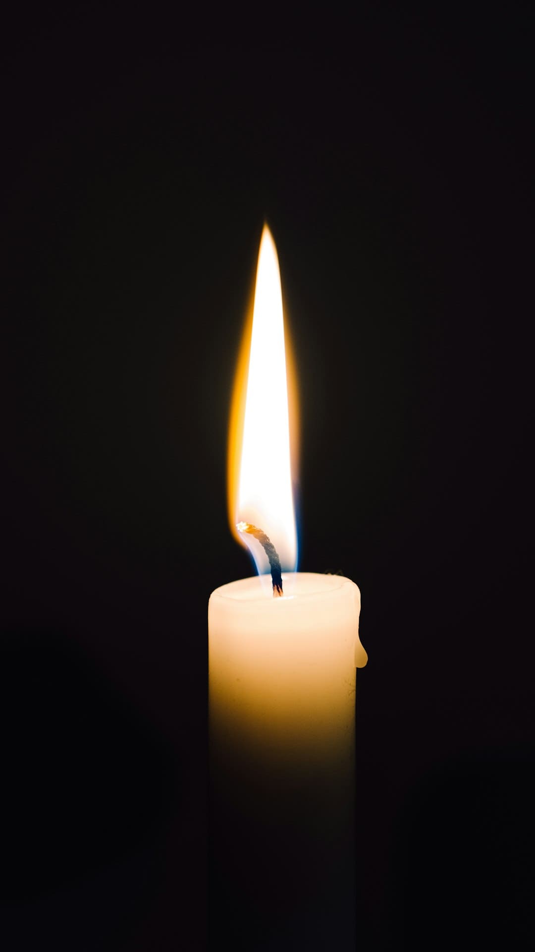 多晶硅主力合约走高！这个赛道爆火 概念股来了